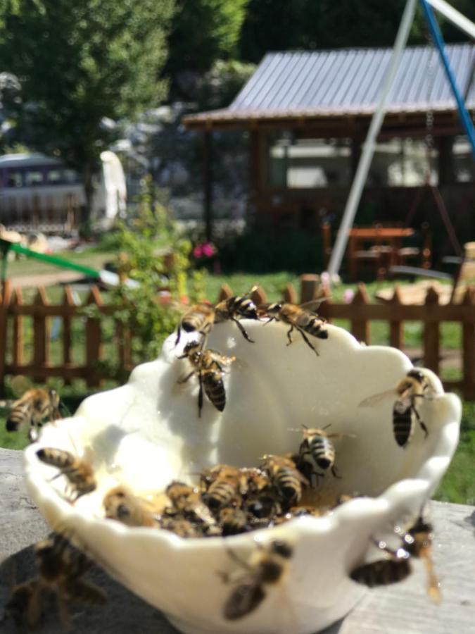 Bujtina Izet Selimaj Hotel Valbone Luaran gambar